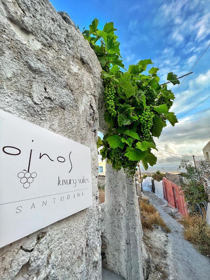 Oinos Luxury Suites Foinikia  ภายนอก รูปภาพ